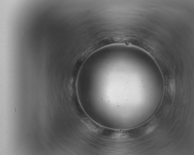 X0000072940319200607282210