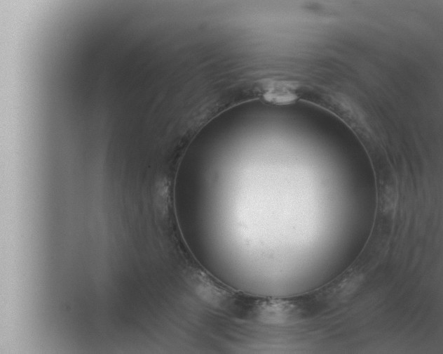 X0000072940321200607282210