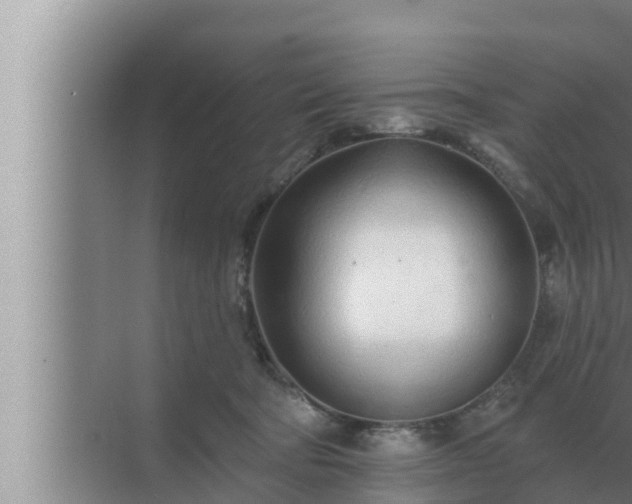 X0000072940322200607282210