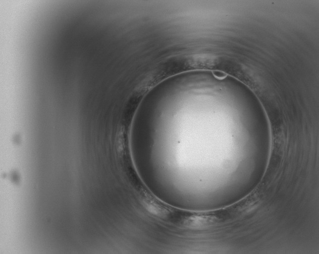 X0000072940323200607282210