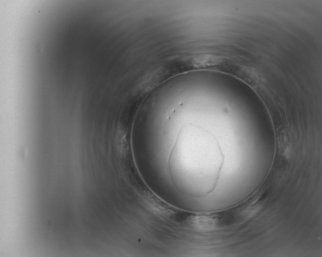 X0000072940327200607282210