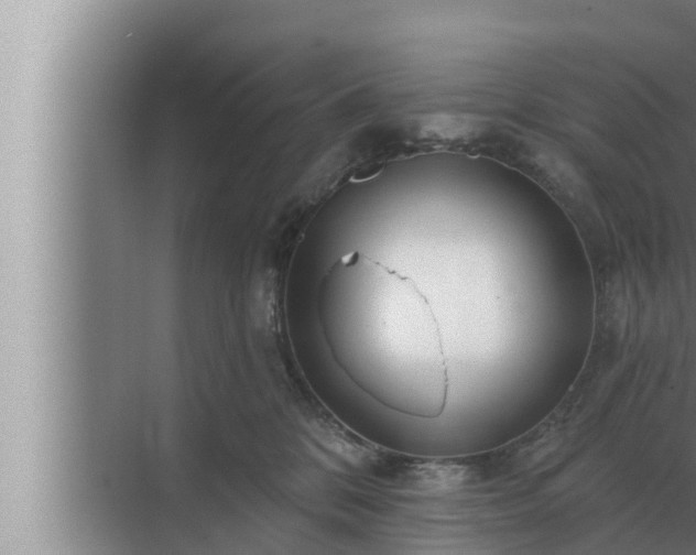 X0000072940328200607282210