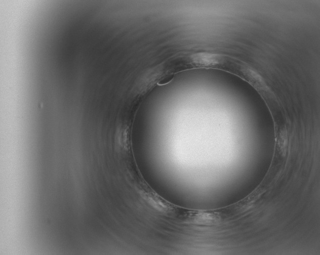 X0000072940330200607282210