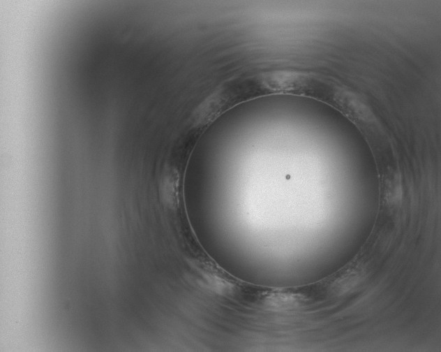 X0000072940332200607282210