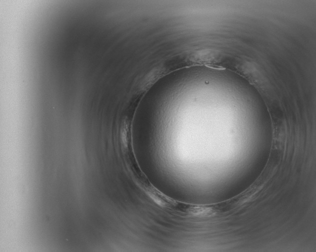 X0000072940334200607282210