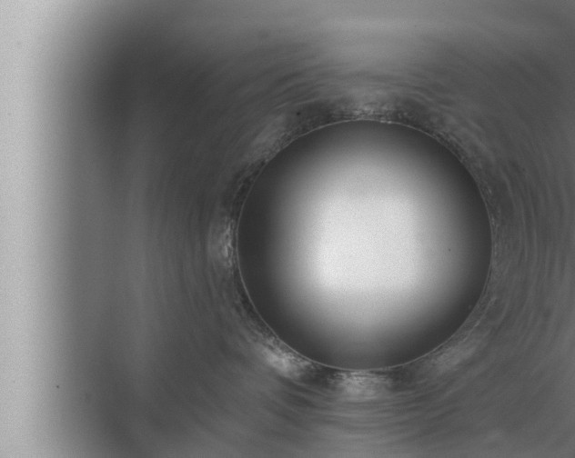 X0000072940336200607282210