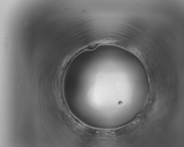 X0000072940337200607282209