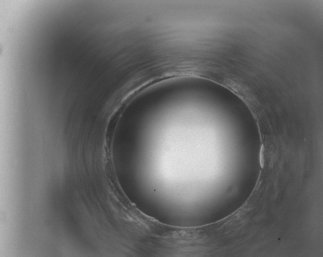 X0000072940338200607282209