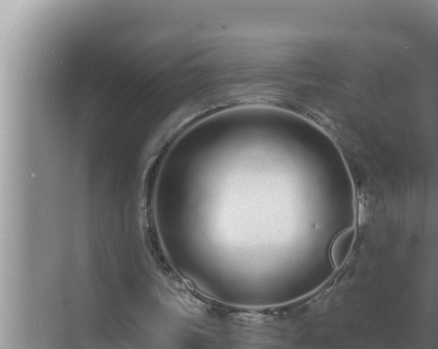 X0000072940339200607282209