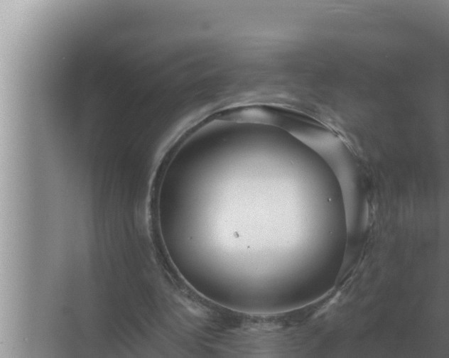 X0000072940340200607282209