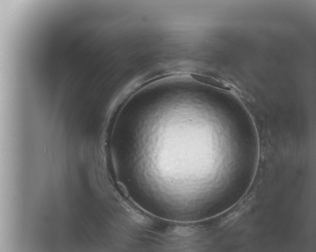 X0000072940341200607282209