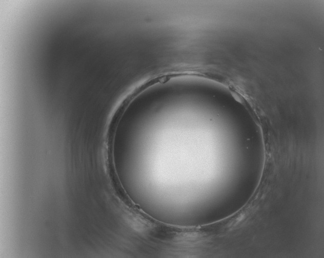 X0000072940342200607282209