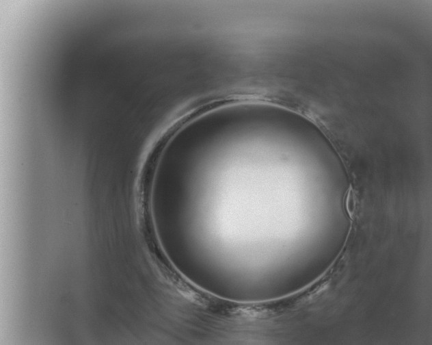 X0000072940343200607282209