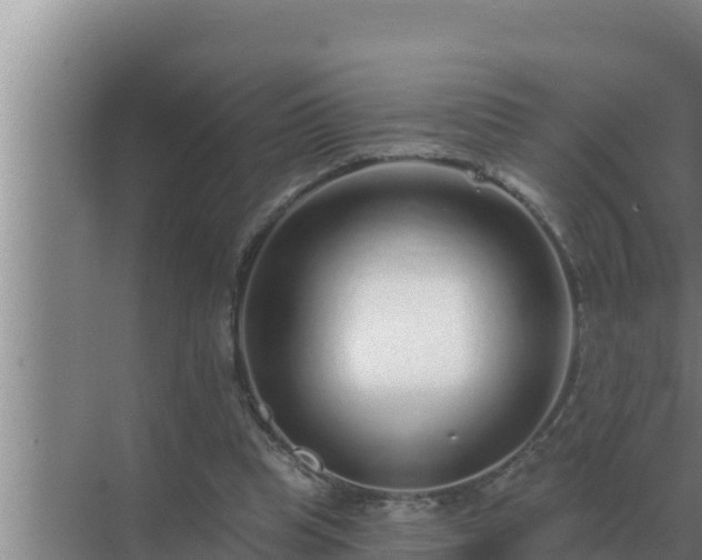 X0000072940345200607282209