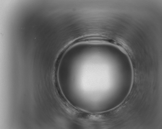 X0000072940346200607282209