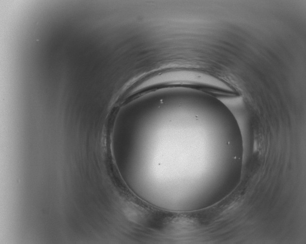 X0000072940348200607282209