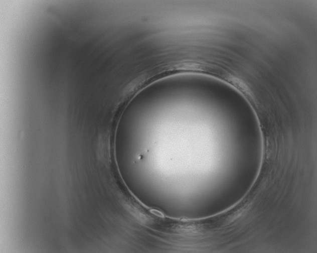 X0000072940349200607282209