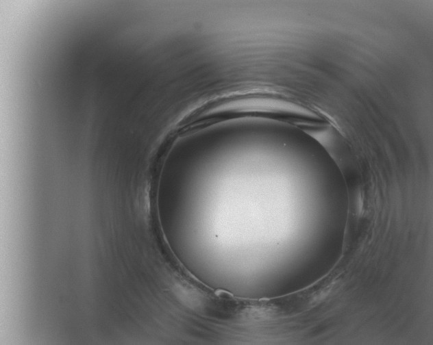 X0000072940350200607282209