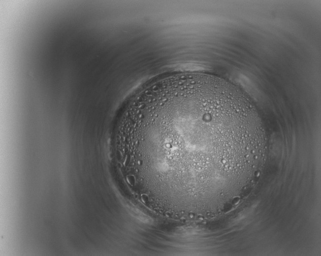 X0000072940351200607282209