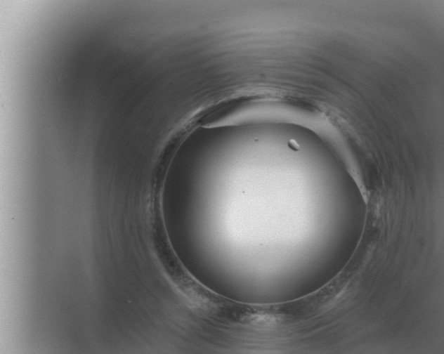 X0000072940352200607282209