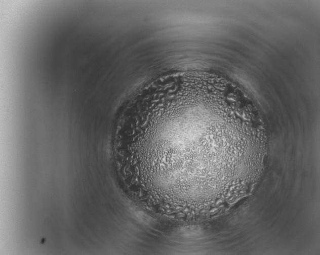 X0000072940353200607282209