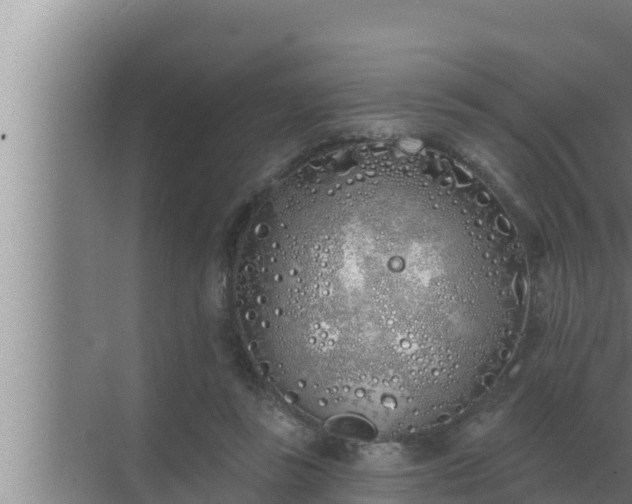 X0000072940355200607282209