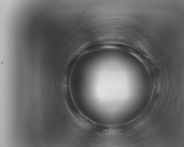 X0000072940356200607282209