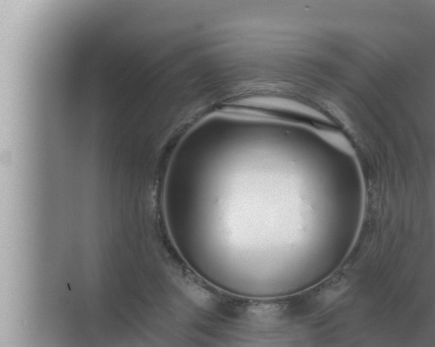 X0000072940357200607282209