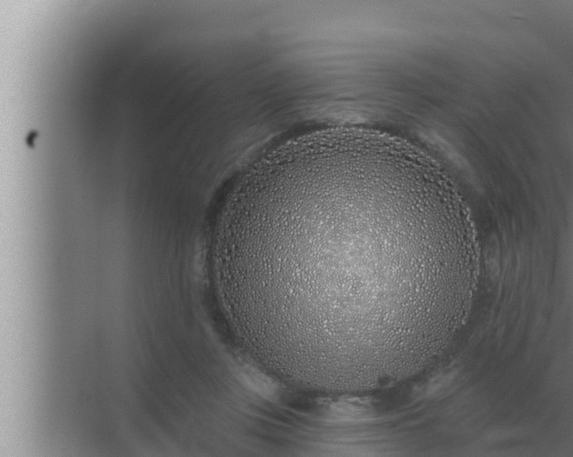 X0000072940359200607282209