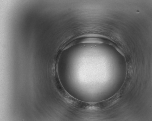 X0000072940360200607282209