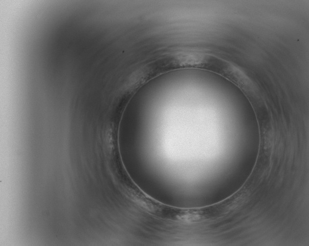 X0000072940362200607282209