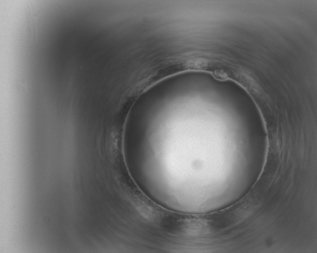 X0000072940363200607282209