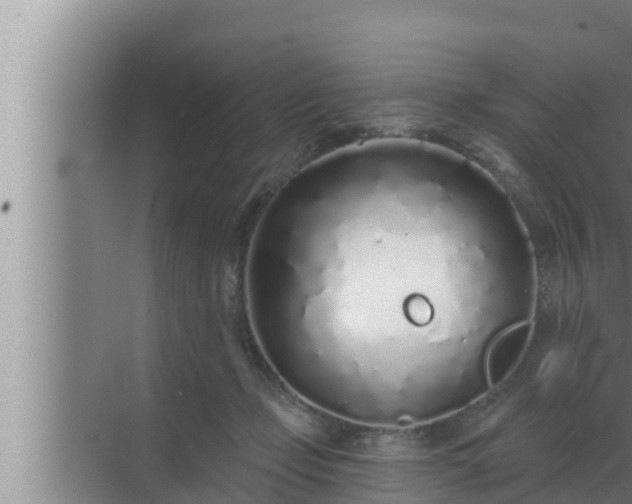 X0000072940365200607282209