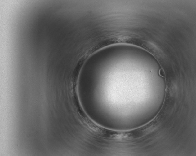 X0000072940366200607282209