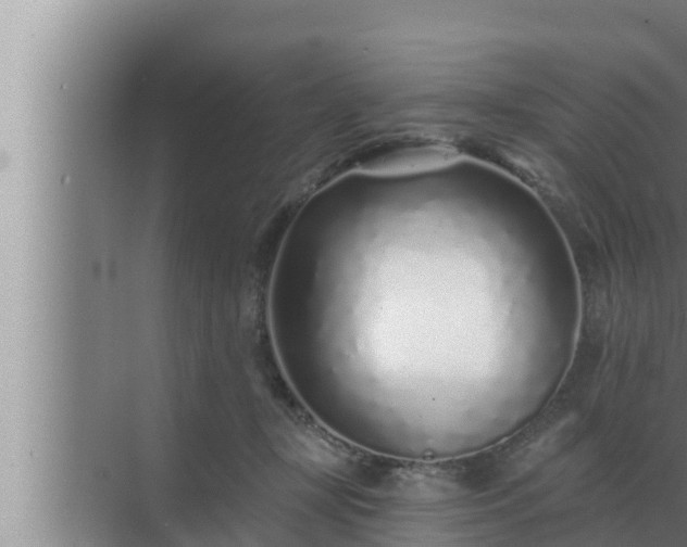 X0000072940367200607282209