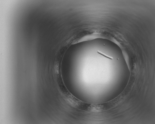 X0000072940368200607282209