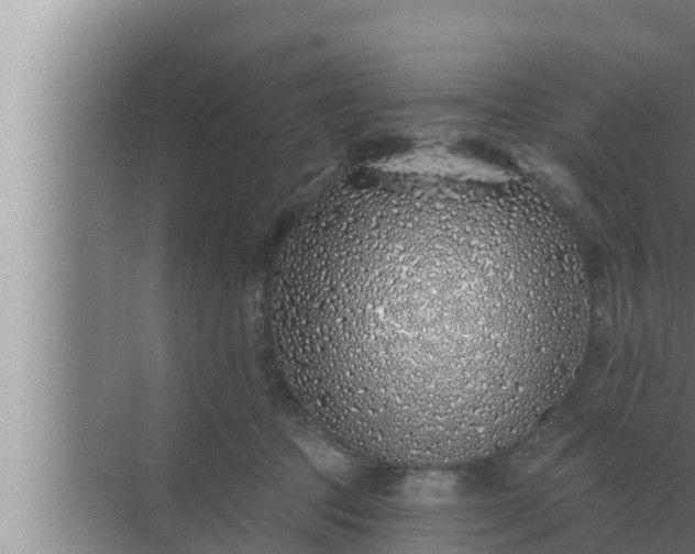 X0000072940369200607282209