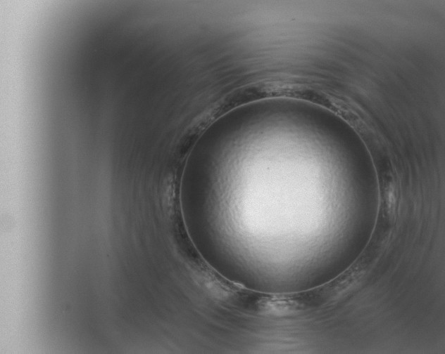 X0000072940372200607282209