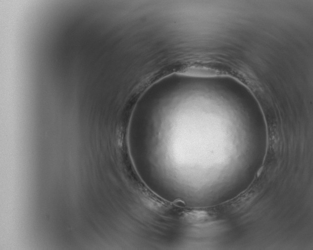 X0000072940374200607282209