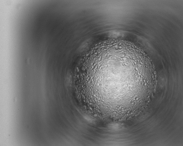 X0000072940375200607282209