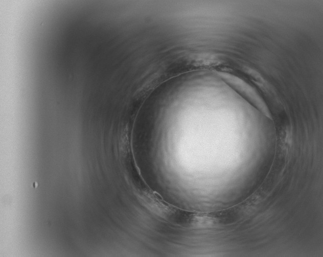 X0000072940376200607282209