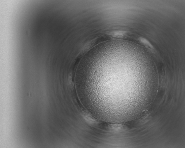 X0000072940377200607282209