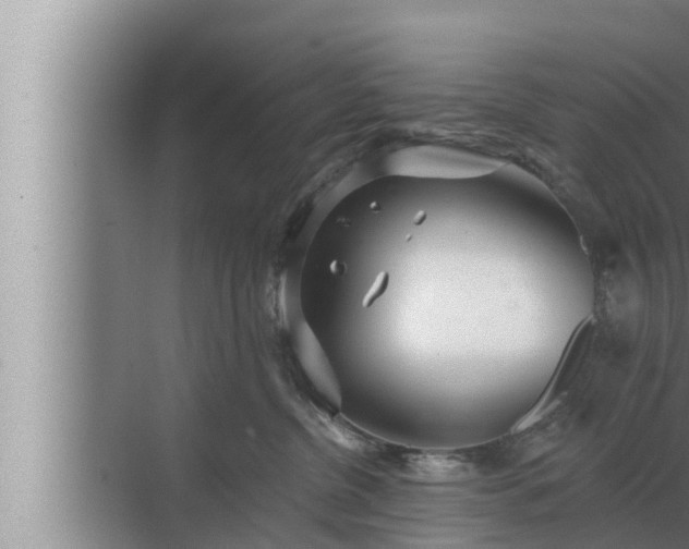 X0000072940380200607282209