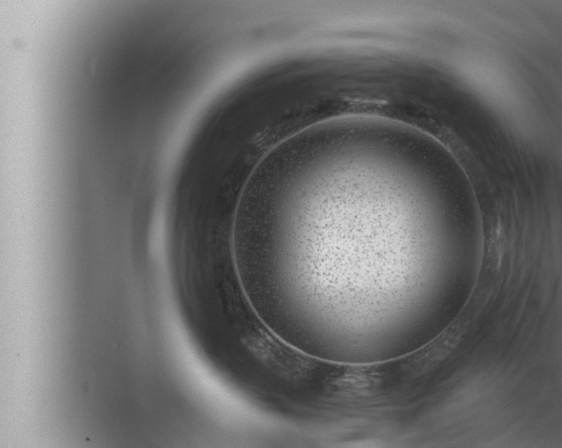 X0000072940383200607282210