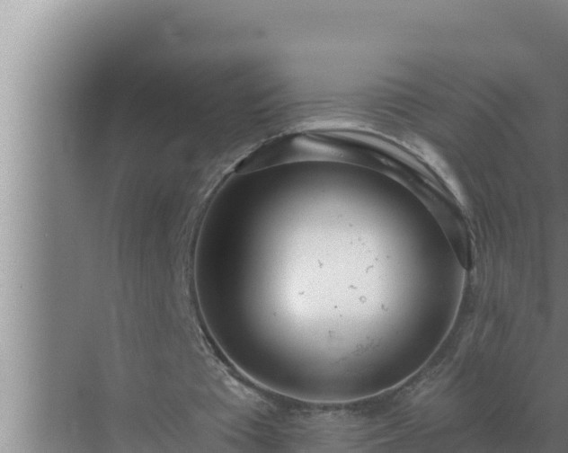 X0000072940385200607282209