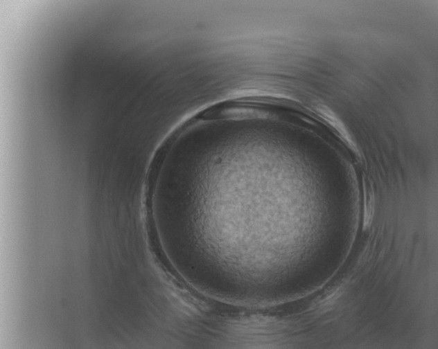 X0000072940387200607282209