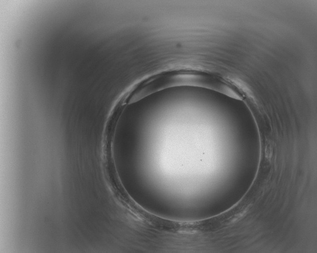 X0000072940388200607282209