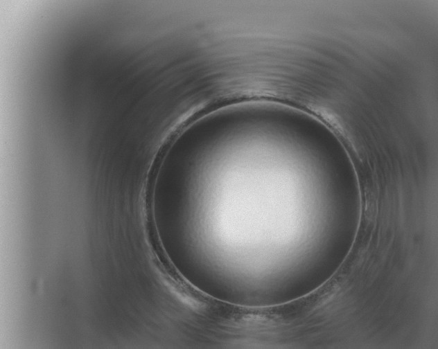 X0000072940390200607282209