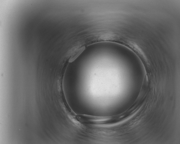 X0000072940393200607282209