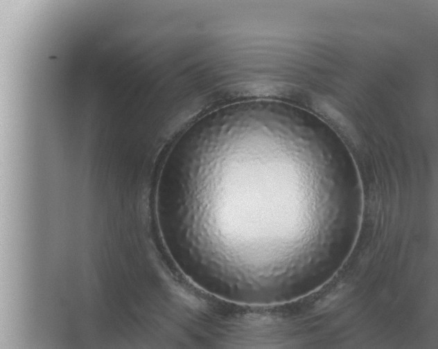 X0000072940394200607282209